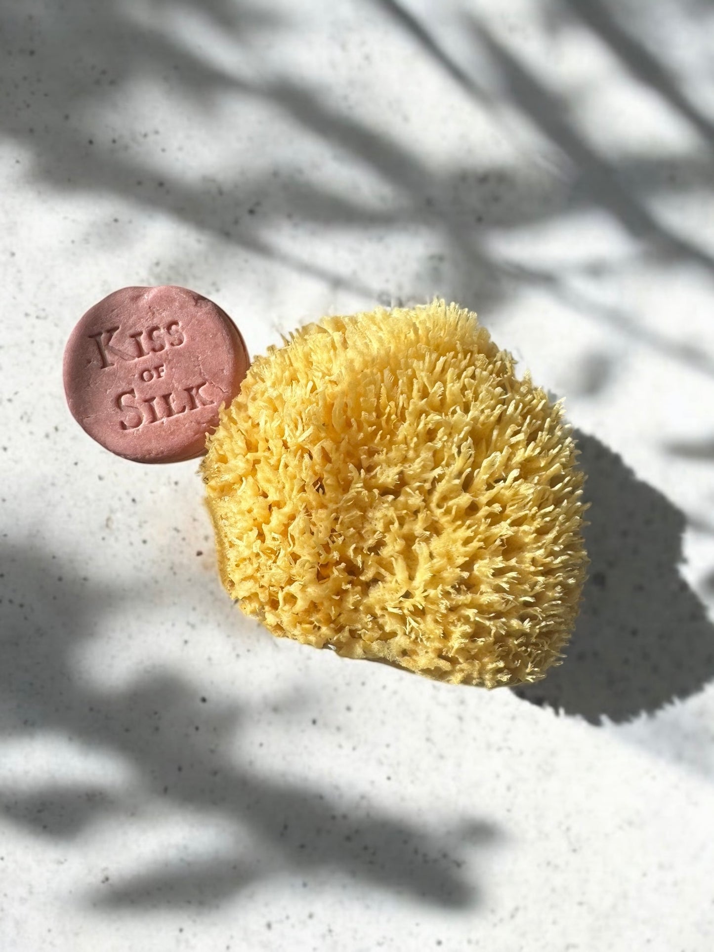 Wool Sea Sponge