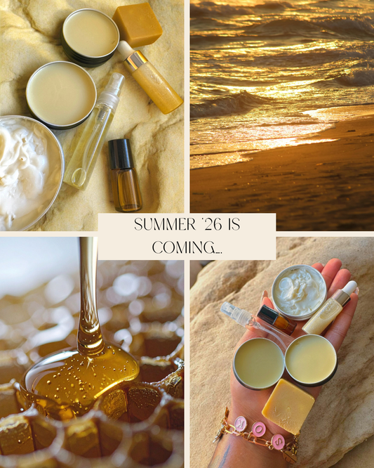 Summer Discovery Box